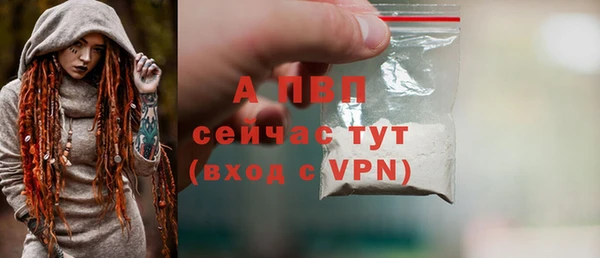 винт Арсеньев