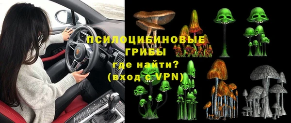 винт Арсеньев