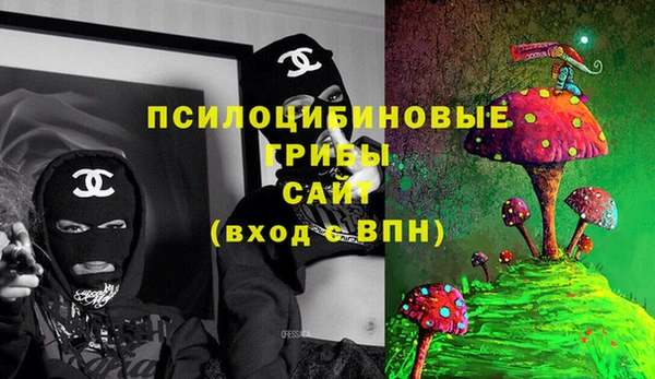 винт Арсеньев